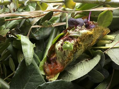 58 NOLA GRAS_amazonas NOLA GRAS – Amazonas