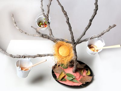 77 LORIGAN_nido 77 LORIGAN_nido