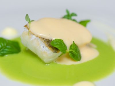 90PEDRO_Opeque 90PEDRO_Opeque