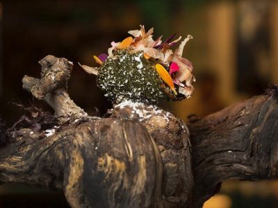 tapa-ganadora-2021-nola-gras tapa-ganadora-2021-nola-gras